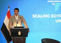 Egypt studies industrial projects in Africa to expand regional integration