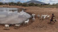 Oxfam: Richest 0.1% produce more carbon than poorest 3.5 billion