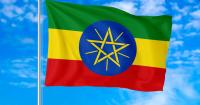 WILL ETHIOPIA’S INTERNAL CONFLICT DRAW THE HORN OF AFRICA?