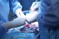 Northwestern Medicine establishes a Transplant Institute focused on innovation and access