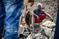 University of Rhode Island to Join State Department Grant to Help Feed the Future in Fisheries