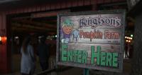 Health Dept. continues investigation into link of E. coli cases to Bengtson’s Pumpkin Farm in Homer Glen