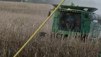 Nebraska Department of Agriculture receives federal grant for specialty crops