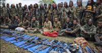 Ethiopia at War: Rebel Alliances, Regional Rivalries and the Battle for Tigray