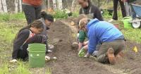 Eight Arkansas schools recognized in 2026 school garden contest