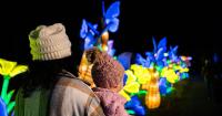 GloWILD returns to Little Rock Zoo with glowing displays starting October 29