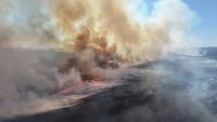 Japanese netizens slam govt's late response to Mongolia grassland fire