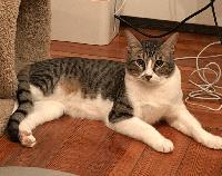Having overcome health challenges, Ralf is ready for new home