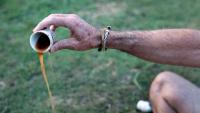 Des Moines Church Receives DEA Religious Exemption for Ayahuasca