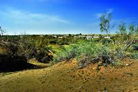 Turkmenistan Launches Five-Year Project to Strengthen Climate Resilience in Agriculture