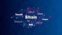 President Trump Has Endorsed 8 Different Cryptocurrencies Since Taking Office in 2025. On Average, They Are Down 60%, So Buyer Beware.