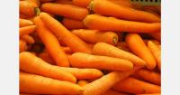 French carrot output down by 11% for the 2026-2027 marketing year