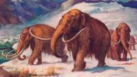 Scientists Just Discovered That Humans Accidentally Prevented Another Ice Age