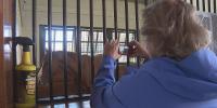 Breeders’ Cup at Keeneland doubles horse farm tourism in central Kentucky