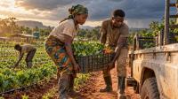 How Benin’s Rural Enterprise Project Could Affect Young Workers, Traders and Food Consumers