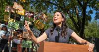 Election 2026: Voters’ choices up and down the ballot could change education policy