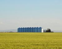 Saskatchewan influencer says agriculture has stories worth telling if audiences can relate