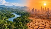 India Set To Face Torrid Summers Without Green Cover