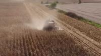 West Des Moines doctor says harvest season and mold can make allergy symptoms worse