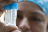 El Niño drives surge in dengue cases in Peru
