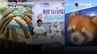 Thailand video news | Thai customs targets seven firms in e-waste smuggling and bribery probe, Khao San Road prepares for record-breaking Halloween celebration