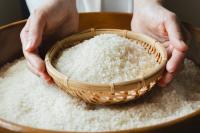 Agriculture ministry to buy back more rice, replenishing stockpiles