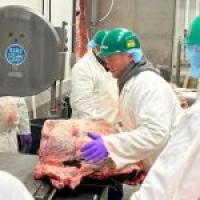 $57.4 Million for Independent Meat Processors: What USDA’s Latest Investment Means for Cattle Producers