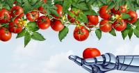 Japan-Singapore MOU: Targeting climate-resilient food supplies