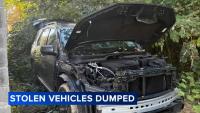 Stripped vehicles in Germantown raise theft ring concerns