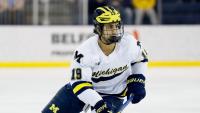 Michigan remains No. 1 in nation in men's hockey