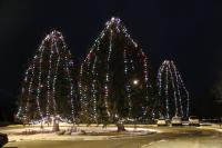 Sheridan Memorial Hospital Holding 2026 Christmas Card Art Contest