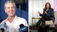 Campaigning in New Hampshire, the Californians pack the most heat