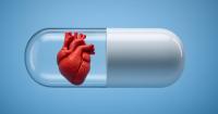 York firm partners with Hungarian company to improve heart treatments