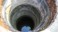 North Carolina homeowner added crayfish to well, then a dry spell exposed the pump
