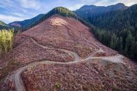 Environmental advocates concerned over results of BC election