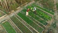 Study: Regenerative agriculture farms hold key climate solutions