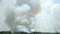 U.S. Small Business Administration Providing Loans For Small Businesses and Nonprofits Affected By Northern Minnesota Wildfires