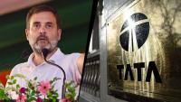 ‘Tata is being criminally destroyed’: Rahul Gandhi accuses business leaders of staying silent
