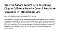 200 Sahrawi and International NGOs urge UNSC to decolonize Western Sahara and guarantee Sahrawi right to self-determination