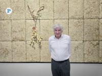 Tracing time: Italian artist Giuseppe Penone explores nature’s rhythm at NMoQ