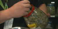 Council delays action on drive-thru cannabis dispensaries in Peoria