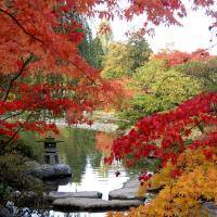 The Best Parks to Enjoy Fall Colors in Seattle 