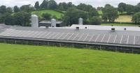 The pros and cons of AD vs solar PV for on-farm electricity generation