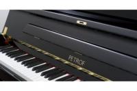 Leading European piano manufacturer Petrof is interested in cooperation with Armenia.