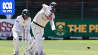 Australia begins day two at crease after Starc blitz flattens South Africa