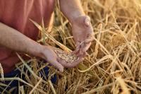 How regenerative agriculture strengthens Purina’s business resilience