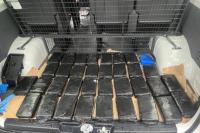 $40m of cocaine found alongside guns in Auckland shipping container