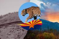 Arizona Border Wall: Wildlife Impact vs Community Security