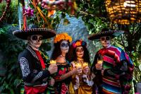 Día De Muertos 2026: Asunción To Celebrate Mexican Culture With Food And Catrinas