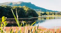 Muir Unveils Nature Recovery Strategy For Northern Ireland